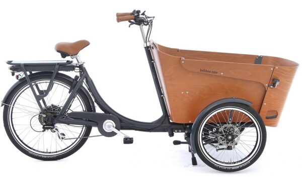 Babboe Carve-E - 450 Wh - 2024 - 26 Zoll