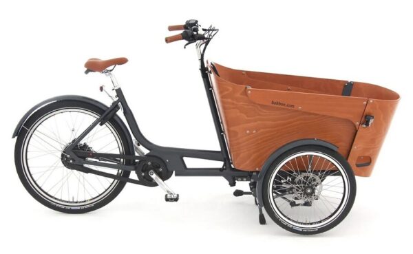 Babboe Carve Mountain - 500 Wh - 2024 - 26 Zoll