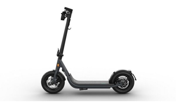 Egret X - 12,5 Zoll - 2023